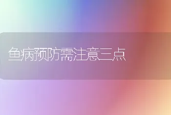 鱼病预防需注意三点