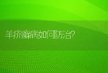 羊疥癣病如何防治?