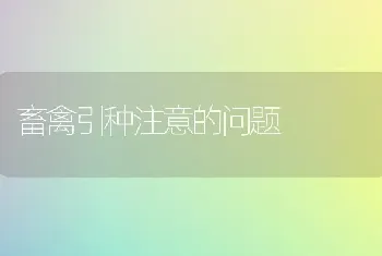 畜禽引种注意的问题