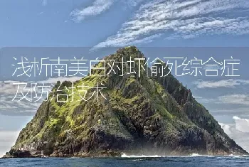 浅析南美白对虾偷死综合症及防治技术