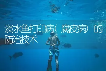 淡水鱼打印病(腐皮病)的防治技术