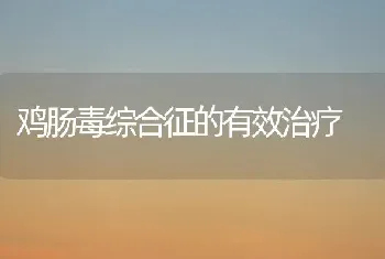 鸡肠毒综合征的有效治疗