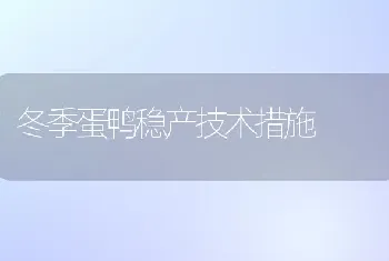 冬季蛋鸭稳产技术措施