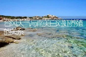 台风天气与南美白对虾养殖的关系