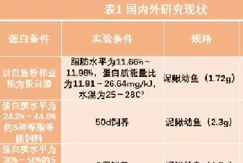 泥鳅蛋白质和脂肪需求量的研究进展