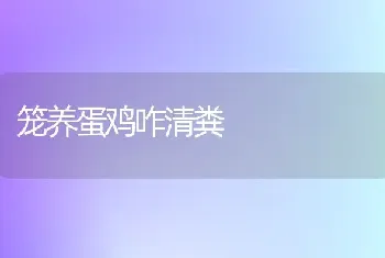 笼养蛋鸡咋清粪