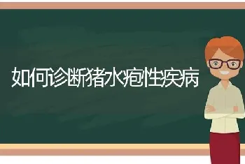 如何诊断猪水疱性疾病