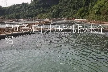 鲟鱼养殖的水质控制技术介绍