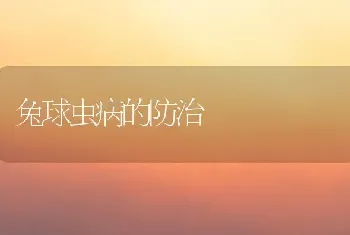 兔球虫病的防治