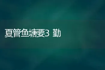 夏管鱼塘要3勤