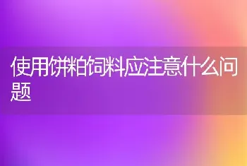 使用饼粕饲料应注意什么问题