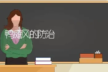 鸭瘫风的防治