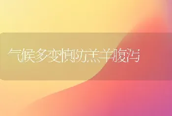 气候多变慎防羔羊腹泻