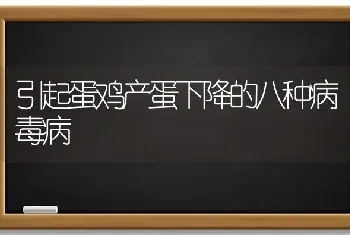 引起蛋鸡产蛋下降的八种病毒病