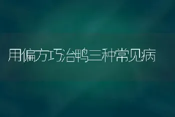 用偏方巧治鸭三种常见病