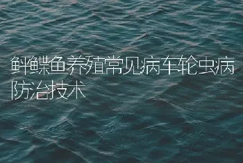 鲆鲽鱼养殖常见病车轮虫病防治技术