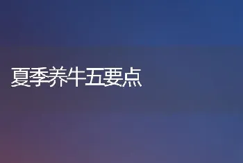 羊皱胃阻塞的防治措施