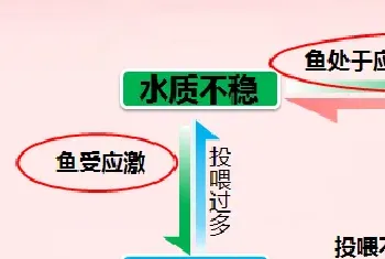 四五月份天气多变养鱼户应该如何合理管理鱼塘