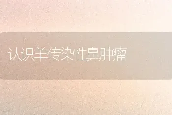 认识羊传染性鼻肿瘤