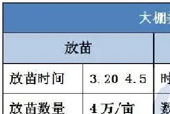 南美白对虾养殖模式百家争鸣,大棚养殖出路何在?