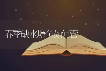 春季缺水塘鱼如何管