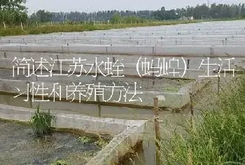 简述江苏水蛭(蚂蝗)生活习性和养殖方法