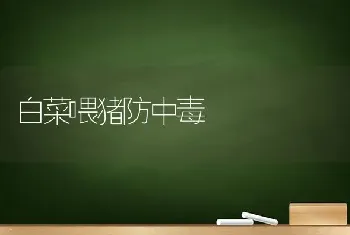 白菜喂猪防中毒