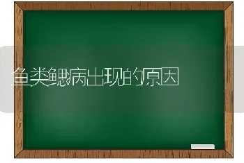 鱼类鳃病出现的原因