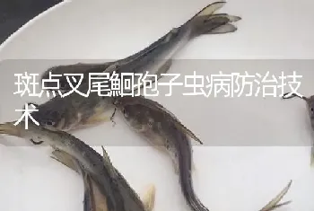 斑点叉尾鮰孢子虫病防治技术