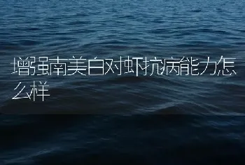 增强南美白对虾抗病能力怎么样