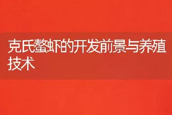 克氏螯虾的开发前景与养殖技术