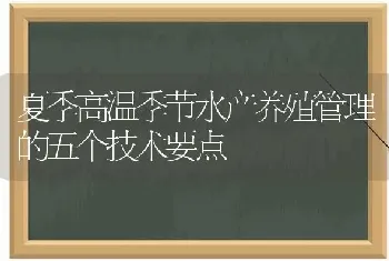 夏季高温季节水产养殖管理的五个技术要点