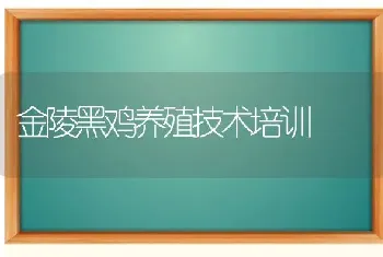 金陵黑鸡养殖技术培训