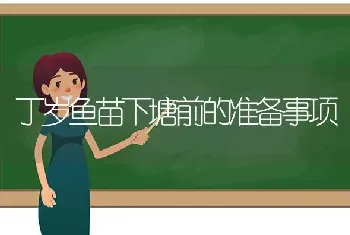 丁岁鱼苗下塘前的准备事项