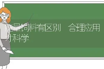 能量饲料有区别 合理应用才科学