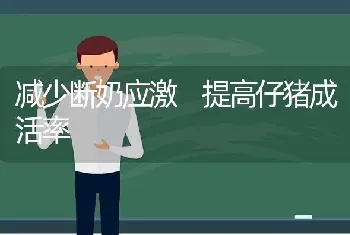 减少断奶应激 提高仔猪成活率