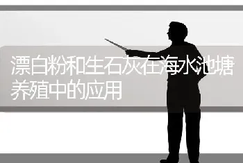 漂白粉和生石灰在海水池塘养殖中的应用