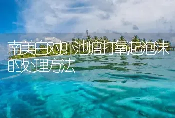 南美白对虾池塘打氧起泡沫的处理方法