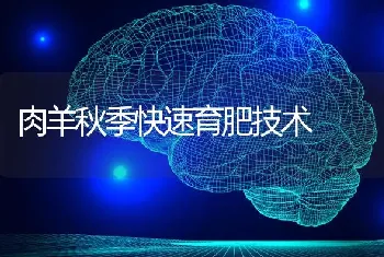 肉羊秋季快速育肥技术