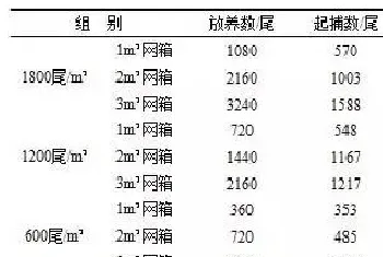 泥鳅小体积网箱养殖技术探索