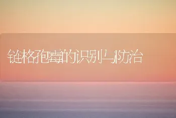 链格孢霉的识别与防治