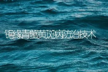 锯缘青蟹黄斑病防治技术