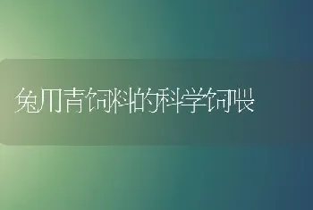 兔用青饲料的科学饲喂