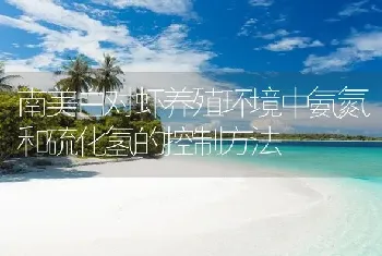 南美白对虾养殖环境中氨氮和硫化氢的控制方法