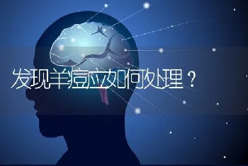 发现羊痘应如何处理?