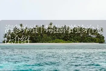 海参养殖中霉菌病的诊治方法介绍