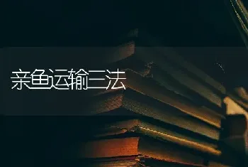 亲鱼运输三法