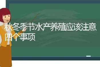 秋冬季节水产养殖应该注意四个事项