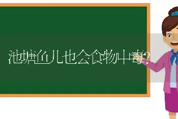 池塘鱼儿也会食物中毒?