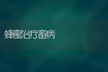 蜂蜜治疗畜病